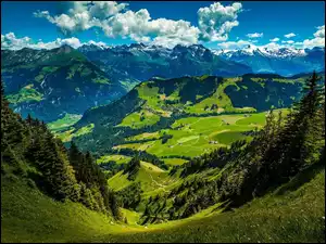 Krajobraz górzysty z zielonymi wzgórzami
