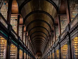 Biblioteka w Dublinie