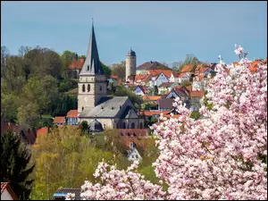 Wiosna, Nadrenia Północna-Westfalia, Drzewa, Kościół, Domy, Miasto Warburg, Kwitnąca, Niemcy, Magnolia