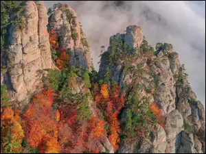 Jesienna roślinność na skałach Demerdżi na Krymie