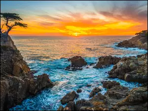 Stany Zjednoczone, Atrakcja Lone Cypress, Kalifornia, Pebble Beach, Zatoka Monterey, Skała, Morze, Cyprys wielkoszyszkowy, Zachód słońca