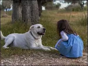 Dziewczynka z psem w lesie