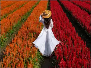 Kobieta w białej sukni i kapeluszu na polu czerwonej celozji