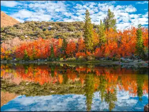 Stany Zjednoczone, Bishop Creek, Kalifornia, Góry, Chmury, Jesień, Krzewy, Rzeka, Drzewa