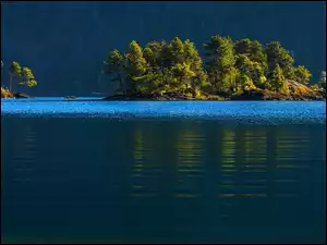 Jezioro, Wyspa, Drzewa, Las