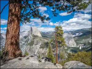 Szczyt Half Dome, Drzewa, Stany Zjednoczone, Góry, Kalifornia, Park Narodowy Yosemite, Sosny