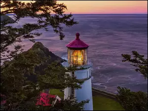 Heceta Head Lighthouse, Latarnia morska, Drzewa, Stany Zjednoczone, Morze, Stan Oregon