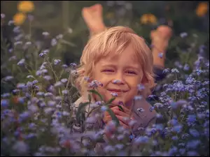 Chłopczyk, Kwiaty, Niezapominajki, Dziecko
