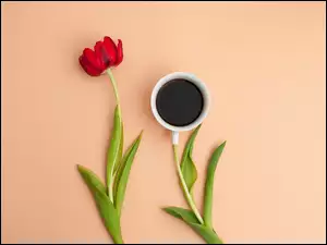 Tulipan, Kwiat, Liście, Filiżanka, Kawa, Łodygi