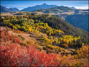 San Juan Mountains, Stany Zjednoczone, Jesień, Kolorowe, Kolorado, Góry, Drzewa, Telluride
