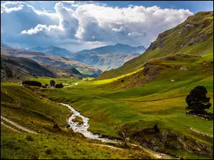 Zielona dolina w szwajcarskich Alpach