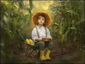 Chłopiec w środku kukurydzy