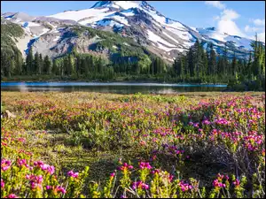 Pasmo gór ze śniegiem w dolinie pełnej kwiatów i jeziorem