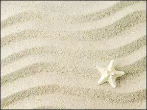 Rozgwiazda na falujących liniach na piasku