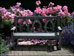 Drewniana ławka w różanym ogrodzie