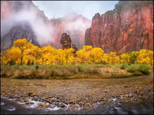 Skały, Drzewa, Stany Zjednoczone, Park Narodowy Zion, Stan Utah, Rzeka, Jesień