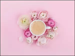 Filiżanka kawy cappuccino w kręgu różowych jaskrów
