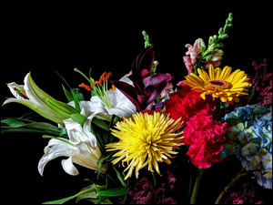 Kwiaty, Bukiet, Hortensje, Aster, Lilie, Gerbera