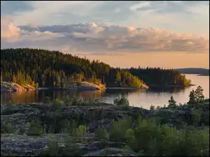 Jezioro Ładoga z drzewami dookoła