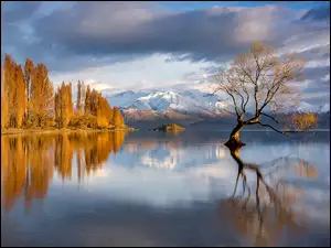 Drzewo, Jezioro Wanaka, Jesień, Nowa Zelandia, Góry, Chmury