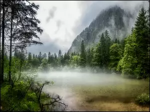 Jezioro Koppenwinkellacke, Ścieżka, Austria, Góry, Obertraun, Mgła, Drzewa