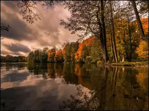 Drzewa, Jesień, Jezioro, Chmury