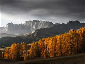Góry, Dolomity, Chmury, Włochy, Jesień, Drzewa, Las