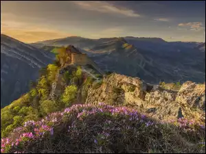 Kwiaty na tle twierdzy na skałach w górach Dagestanu
