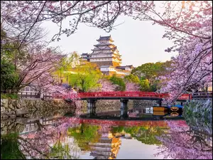 Japonia, Kanał, Most, Drzewa, Zamek Himeji, Wiosna, Okwiecone, Zamek Białej Czapli, Gałęzie, Himeji