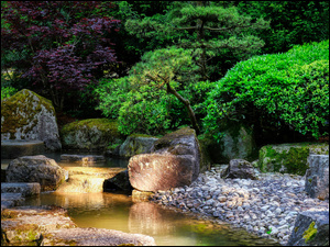 Krzewy, Kamienie, Drzewa, Ogród japoński, Strumień
