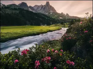Drzewa, Różaneczniki, Rzeka, Góry, Kwiaty