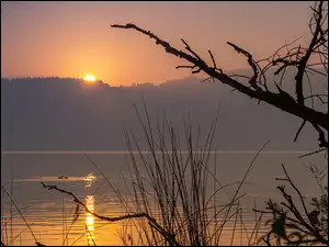 Wschodzące słońce nad jeziorem we mgle