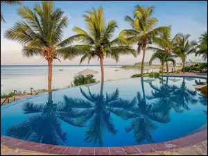 Kurort wypoczynkowy nad plażą z palmami w Mangapwani
