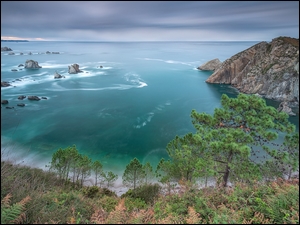 Drzewa, Morze, Silence Beach, Asturia, Zatoka Biskajska, Skały, Hiszpania, Plaża
