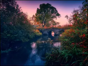 Kolorowa roślinność i most na rzece o wschodzie słońca