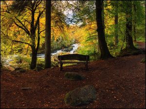 Las z ławeczką i wodospadem w szkockim Dunkeld