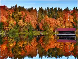 Drewniany, Jesień, Jezioro, Dom, Kolorowe, Odbicie, Niebo, Drzewa