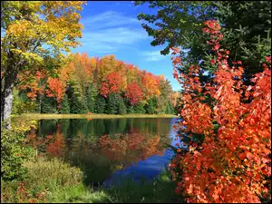 Kolorowa jesień nad jeziorem