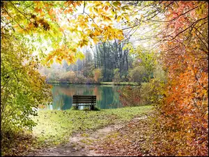 Ławka nad stawem w parku jesienią