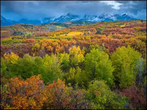 Góry, Drzewa, Zamglone, Jesień, Kolorowe