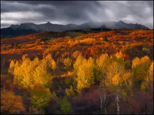 Las, Góry, Drzewa, Chmury, Rozświetlone, Jesień