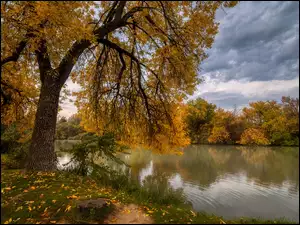 Jesień, Chmury, Drzewa, Jezioro, Liście