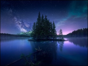 Zorza polarna, Niebo, Park Narodowy Banff, Jezioro, Las, Alberta, Noc, Drzewa, Two Jack Lake, Gwiazdy, Kanada