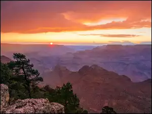 Wschód słońca, Grand Canyon, Drzewa, Arizona, Wielki Kanion Kolorado, Sosny, Stany Zjednoczone, Paark Narodowy Wielkiego Kanionu