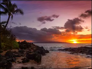 Wyspa Maui, Morze, Chmury, Hawaje, Zachód słońca, Palmy, Skały