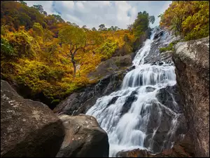Skała, Wodospad, Pożółkłe, Jesień, Kamienie, Drzewa
