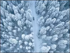 Droga, Zima, Ośnieżone, Samochód, Śnieg, Drzewa, Z lotu ptaka, Las