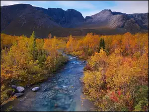 Rzeka pośród jesiennych krzewów