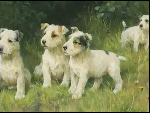 Cztery szczeniaki w trawie na obrazie Arthura Wardla