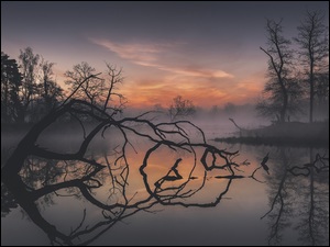 Zachód słońca, Jezioro, Drzewa, Mgła